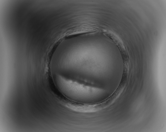 X0000087700032200705111411