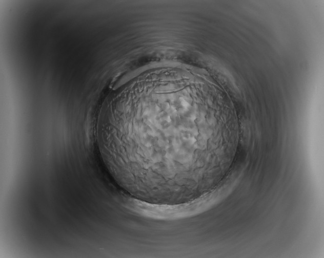 X0000087700034200705111411