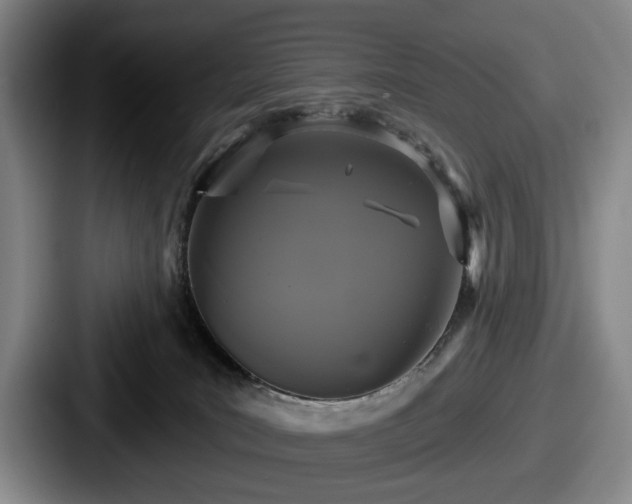 X0000087700035200705111411