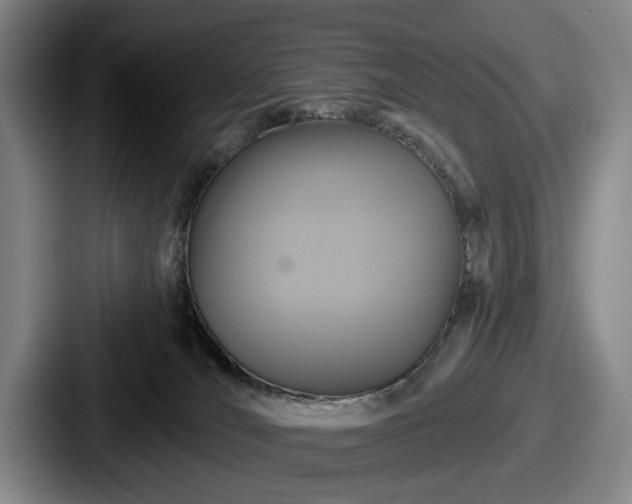 X0000087700036200705111411