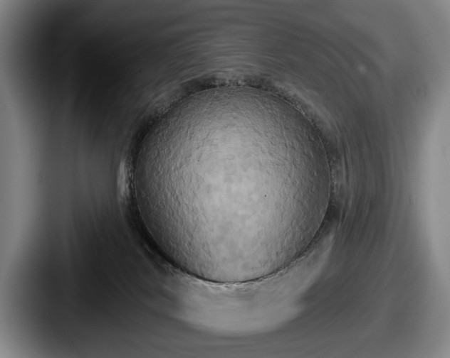 X0000087700038200705111411