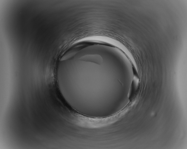 X0000087700039200705111411