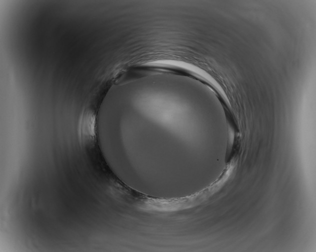 X0000087700041200705111411