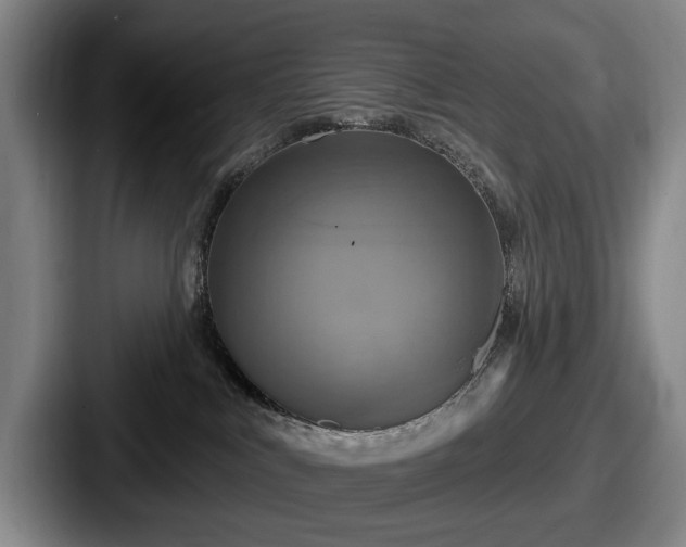 X0000087700043200705111411