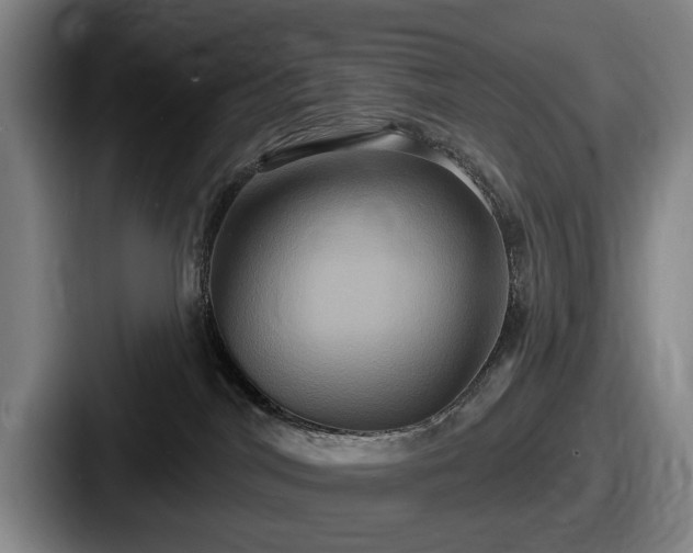 X0000087700044200705111411