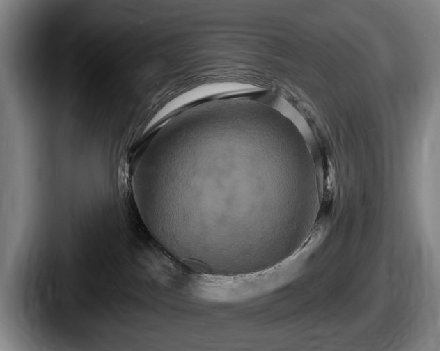 X0000087700045200705111411