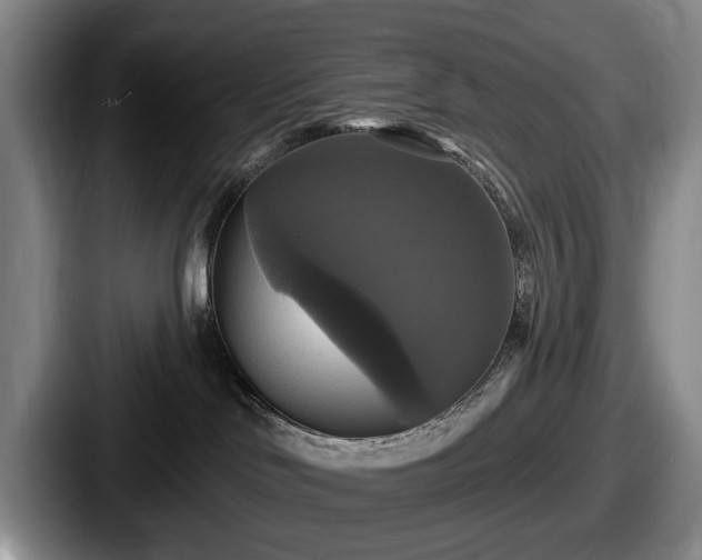 X0000087700046200705111411