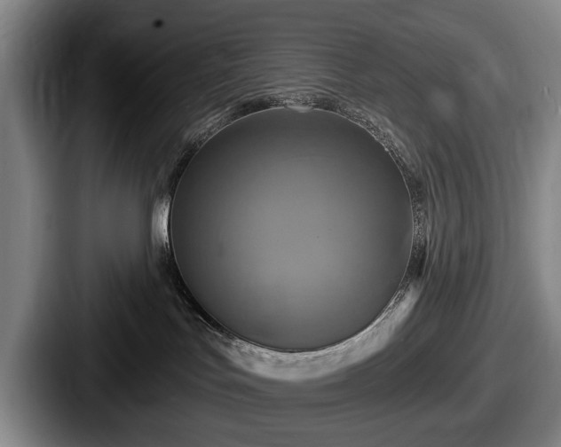 X0000087700047200705111411