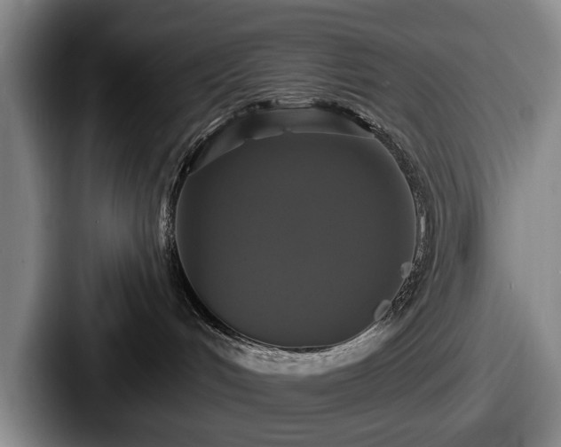 X0000087700048200705111411