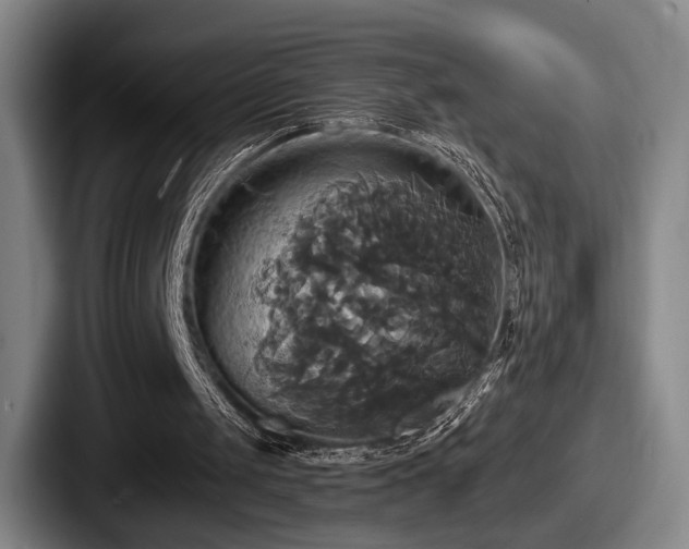 X0000087700049200705111410