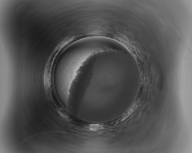 X0000087700050200705111410