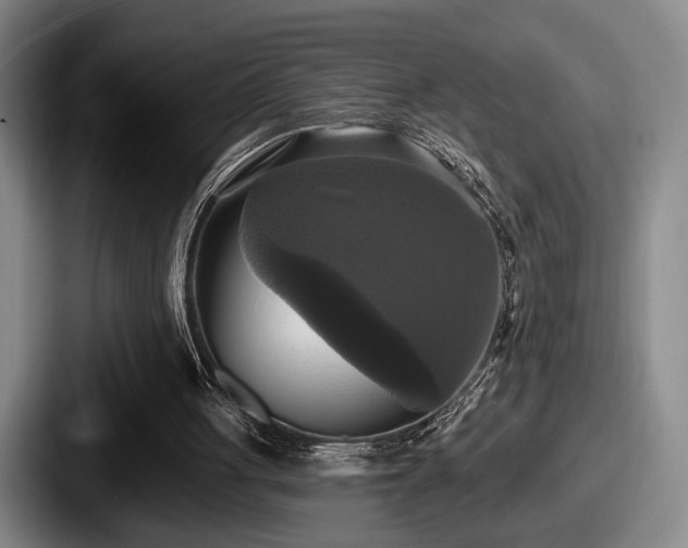 X0000087700051200705111410