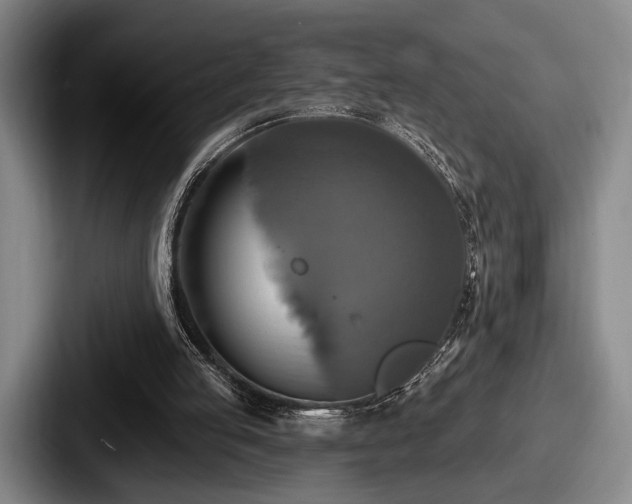 X0000087700053200705111410