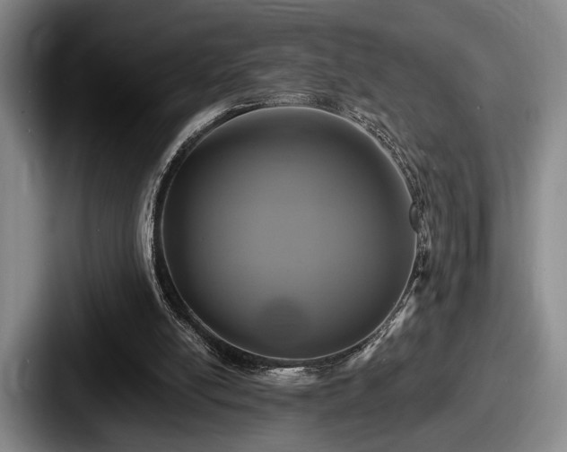 X0000087700054200705111410