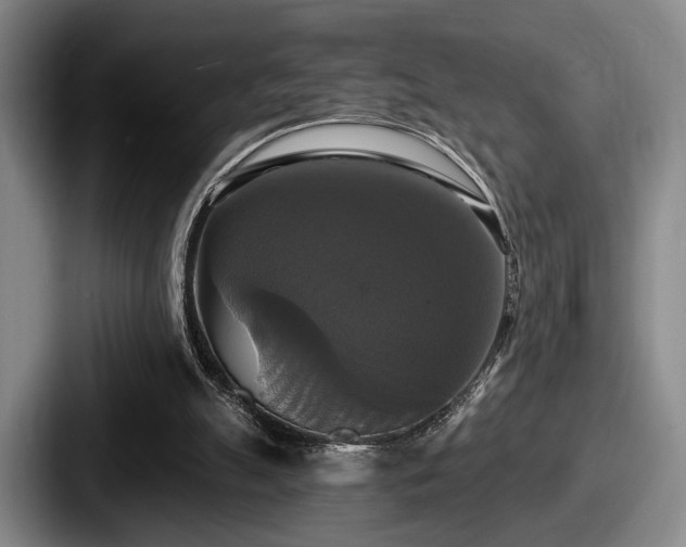 X0000087700055200705111410