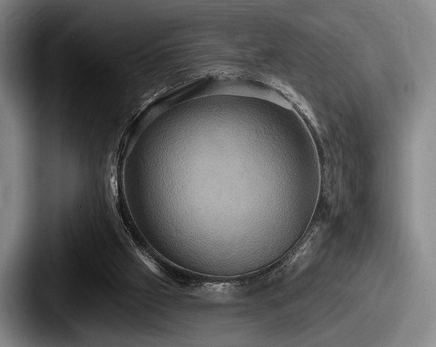 X0000087700057200705111410