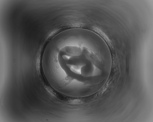 X0000087700058200705111410