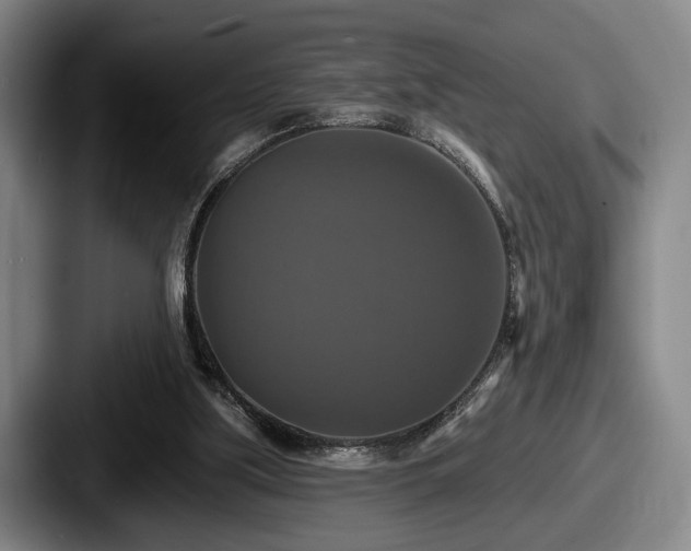 X0000087700059200705111410