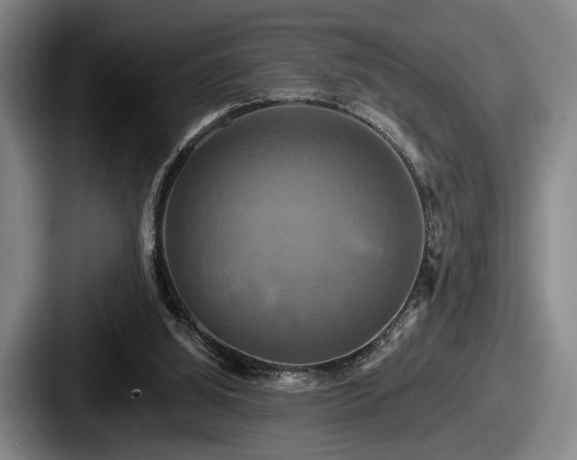 X0000087700060200705111410