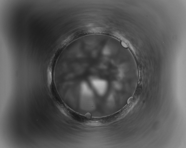 X0000087700061200705111410