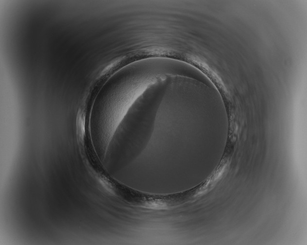 X0000087700062200705111410