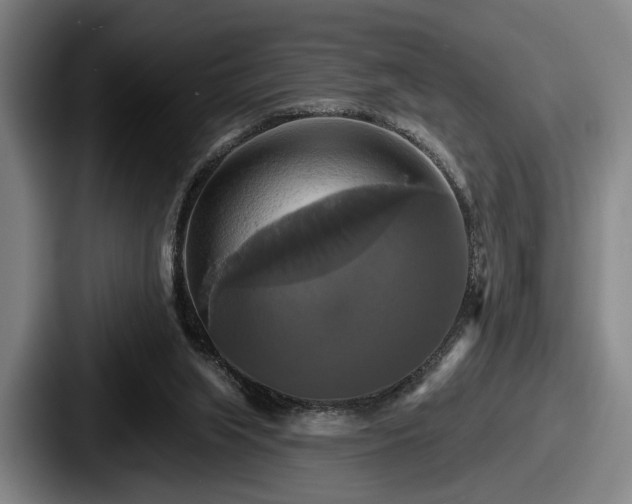 X0000087700063200705111410