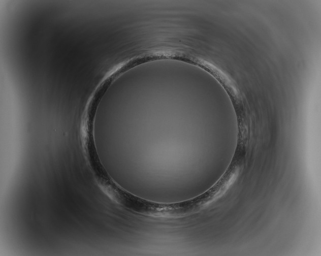 X0000087700064200705111410