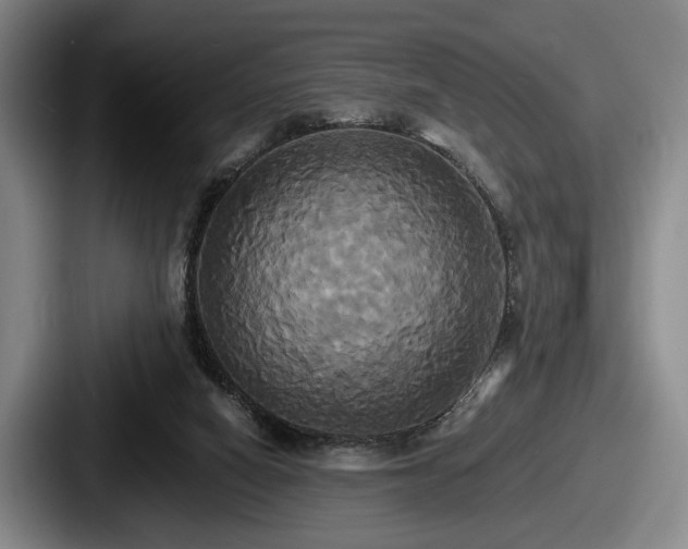 X0000087700066200705111410