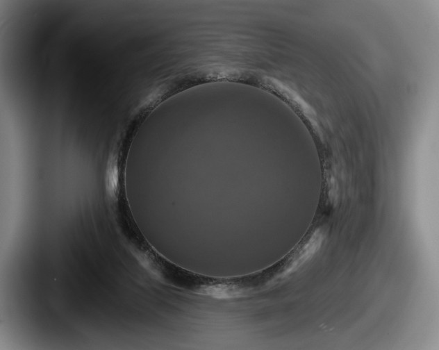 X0000087700067200705111410