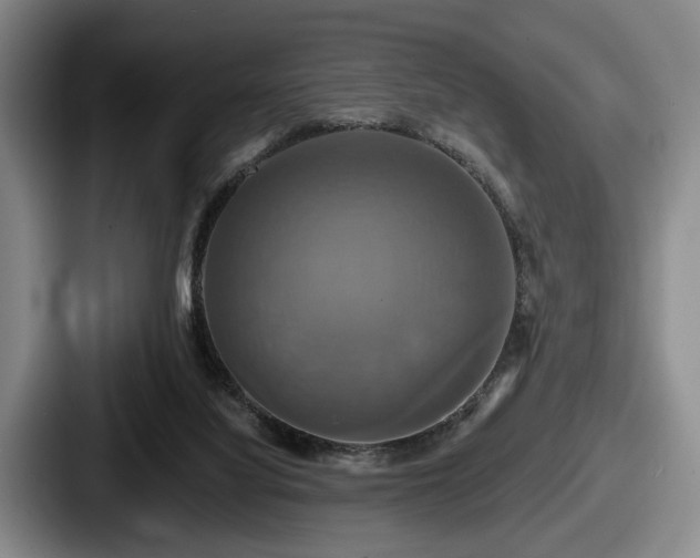 X0000087700068200705111410