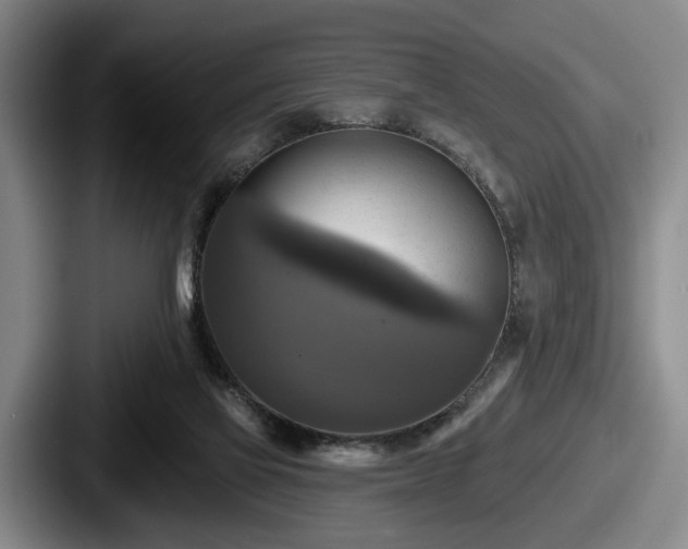 X0000087700069200705111410