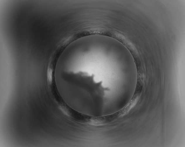 X0000087700070200705111411