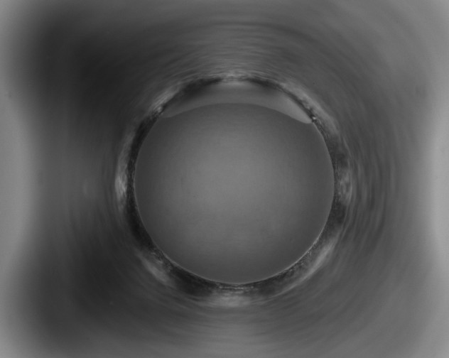 X0000087700072200705111411