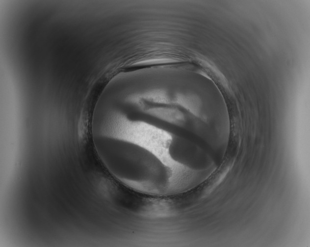 X0000087700073200705111411