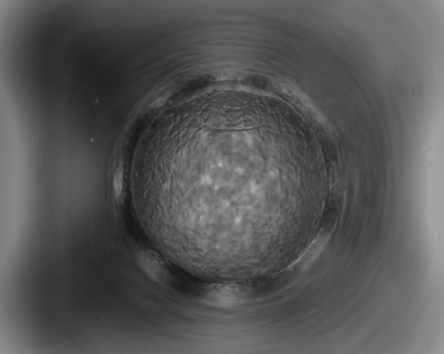 X0000087700074200705111411