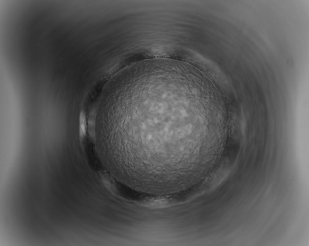 X0000087700075200705111411