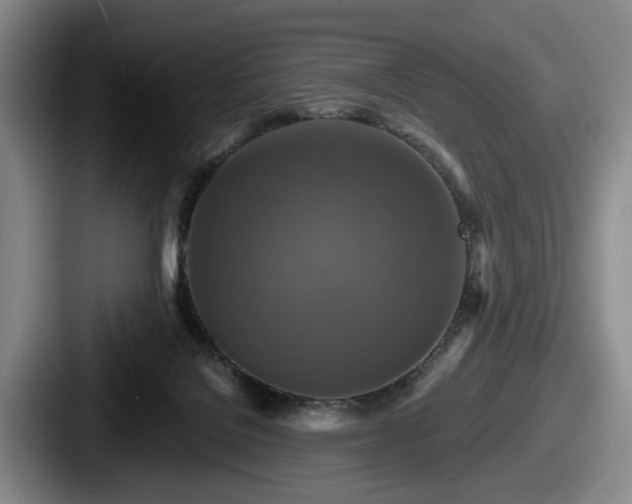 X0000087700076200705111411