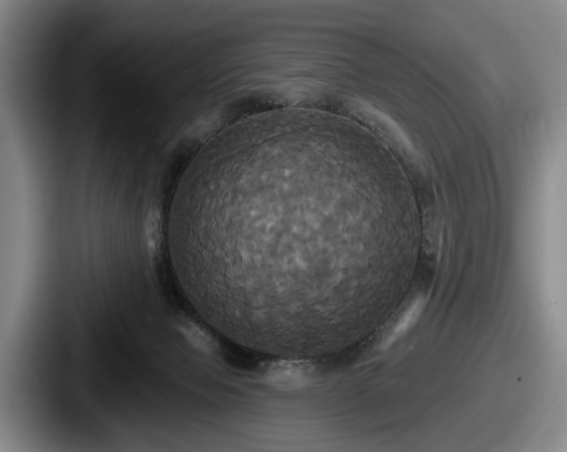 X0000087700077200705111411