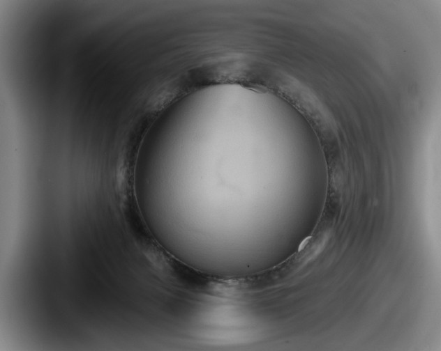 X0000087700079200705111411