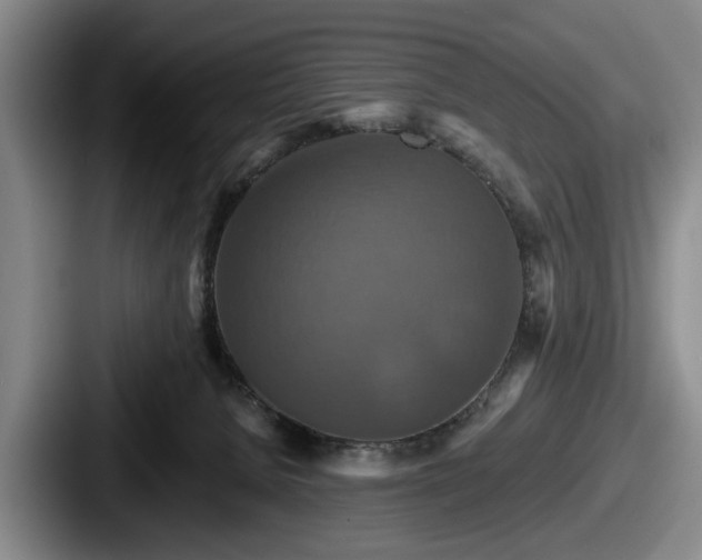 X0000087700080200705111411