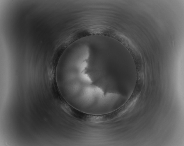 X0000087700081200705111411