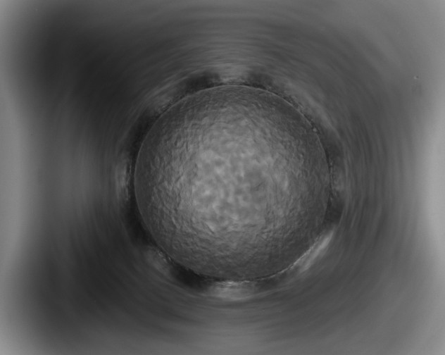 X0000087700082200705111411