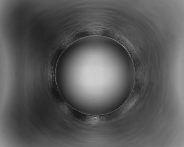 X0000087700083200705111411