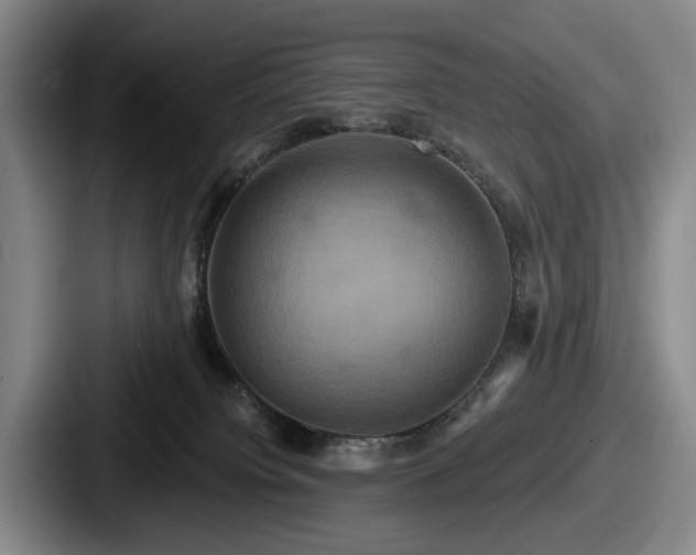 X0000087700084200705111411