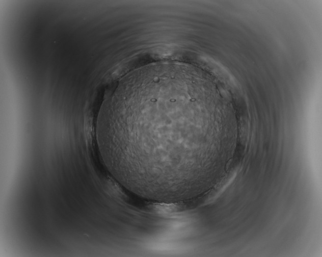 X0000087700085200705111411