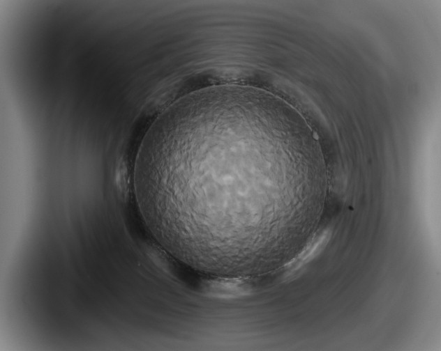 X0000087700086200705111411