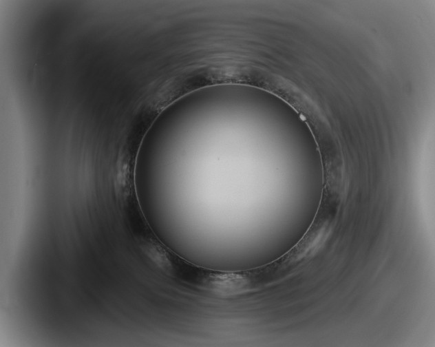 X0000087700087200705111411