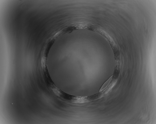 X0000087700093200705111411