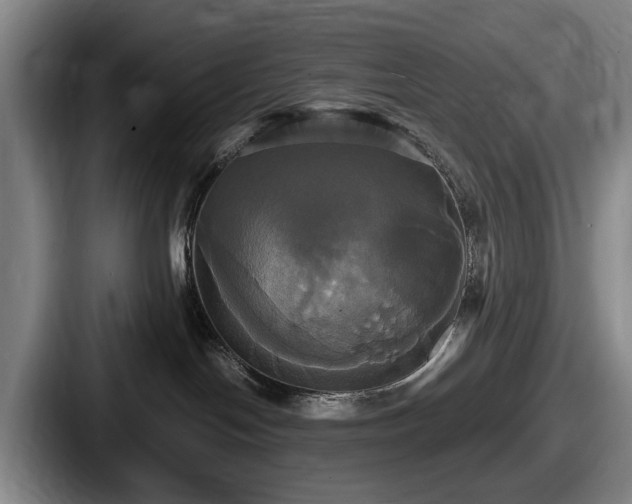 X0000087700094200705111411