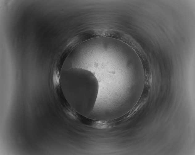 X0000087700095200705111411